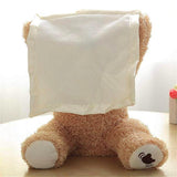 Teddy
